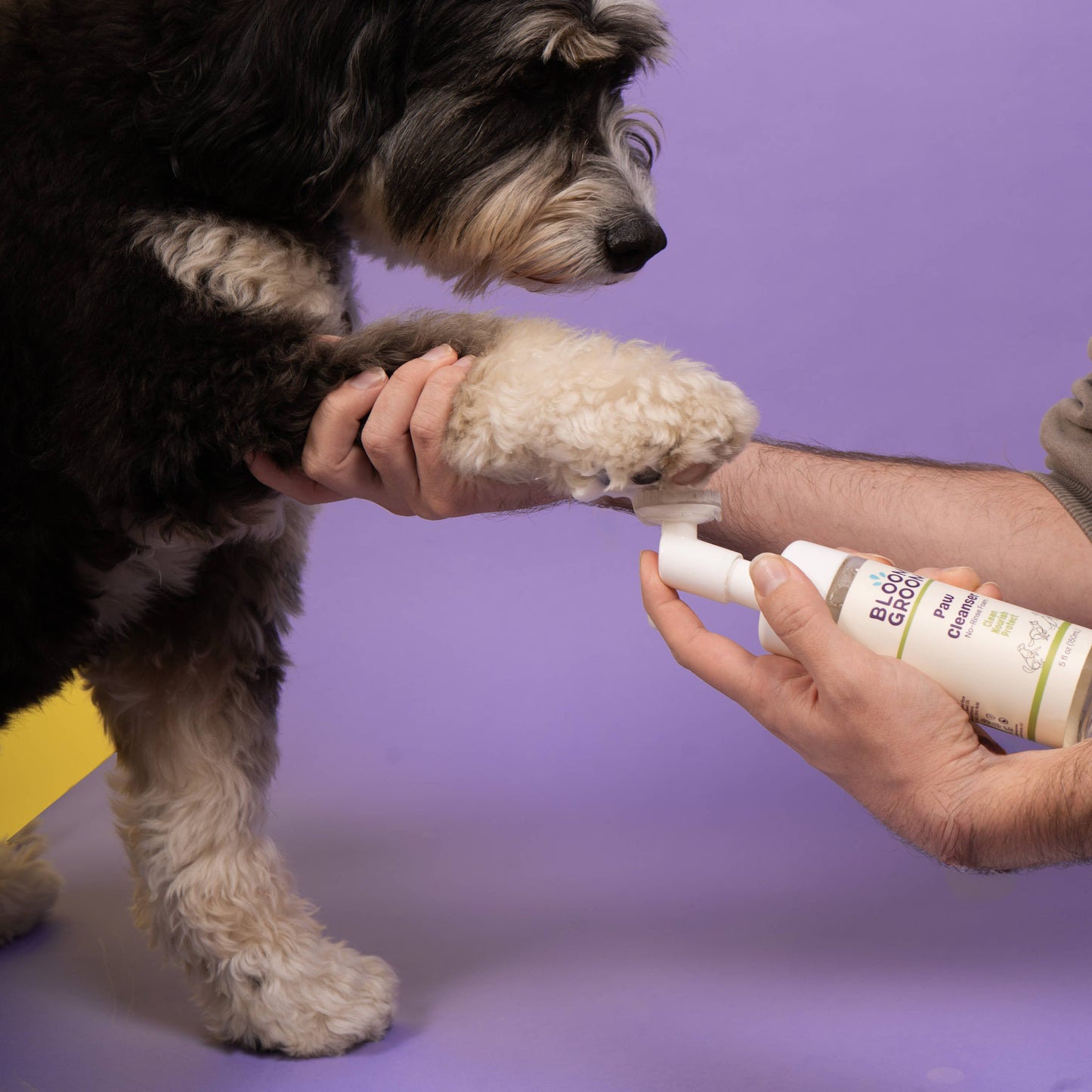 Foaming Paw Cleanser For Dogs